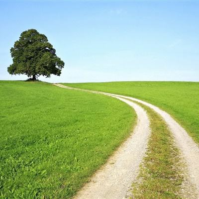 Meta在新墨西哥州儿童侵害诉讼中被判赔偿3.75亿美元